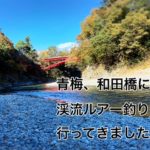 【2020年　奥多摩】青梅の和田橋に、渓流ルアー釣りに、行ってきました。